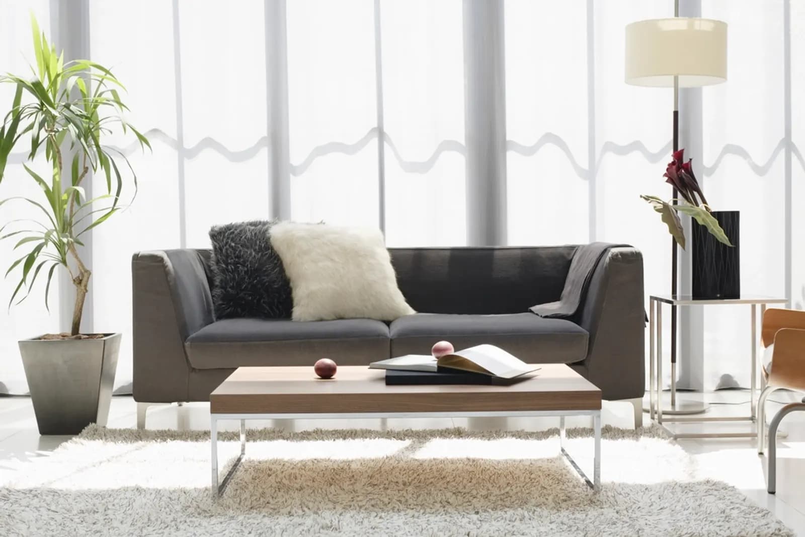 Bright living room with a grey sofa and full-height sheer curtains across the window wall