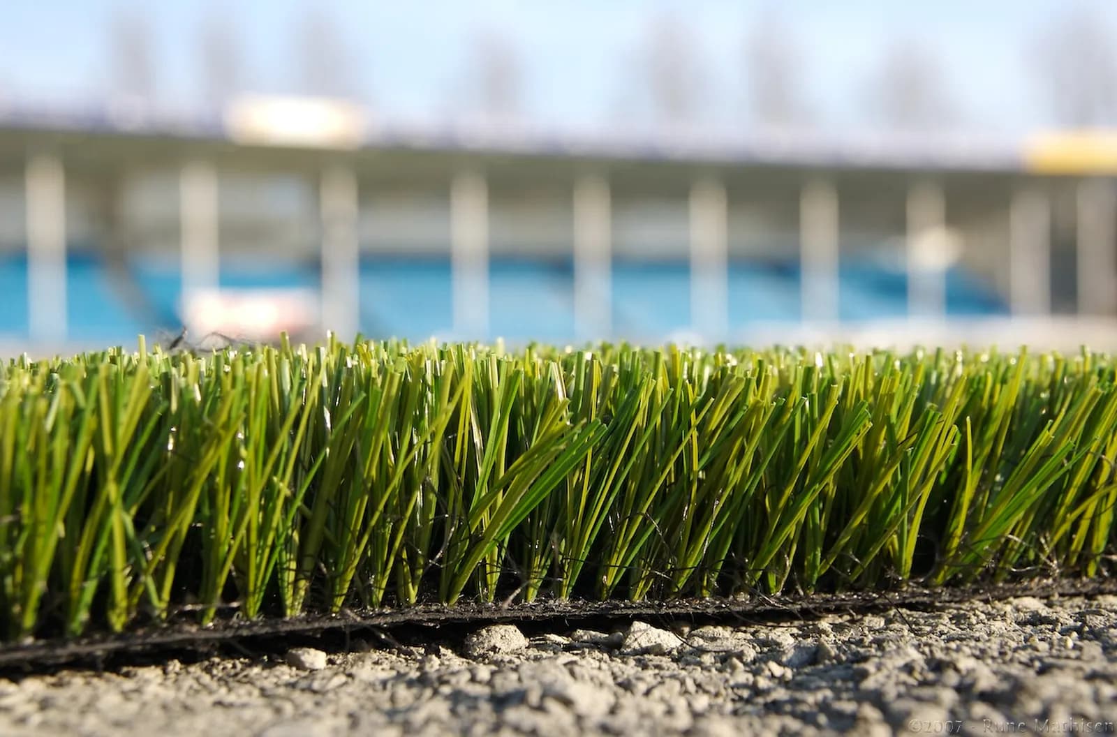Edge of an artificial turf roll showing the blades and backing