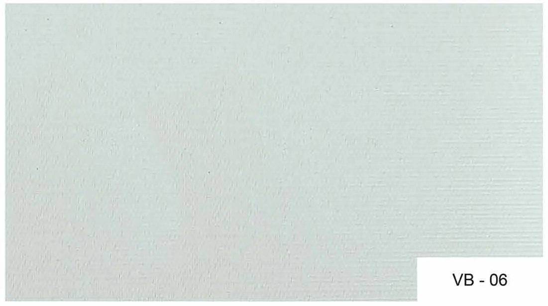 VB 06